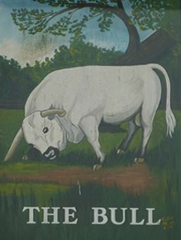 The Bull